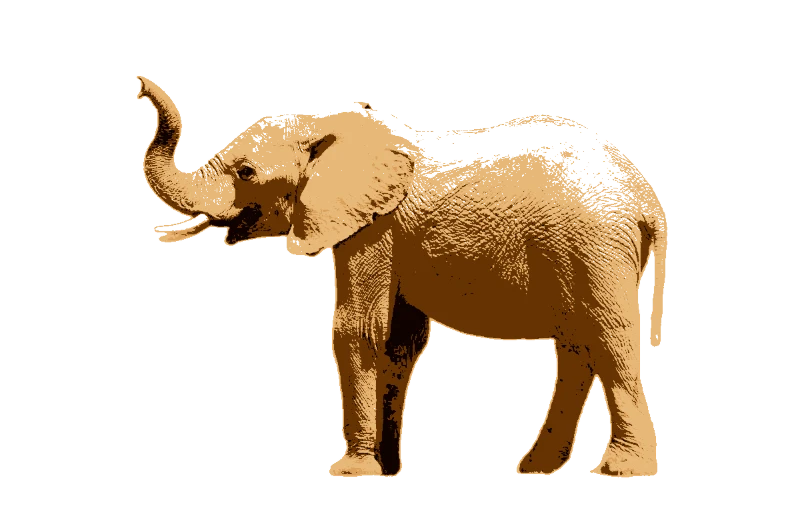 Trunky and Joyful Elephant