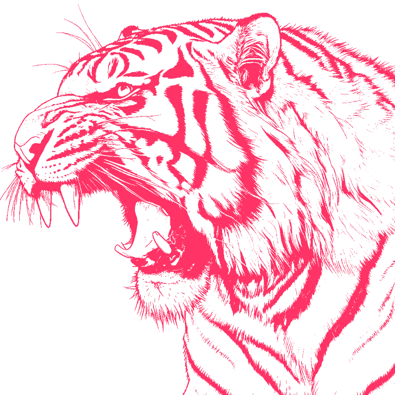 Majestic Roar of a Tiger — woodworking-stencil-maker stencil