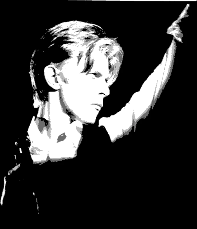 Bowie in Noir Light