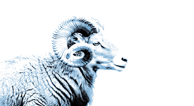 Animals stencil example