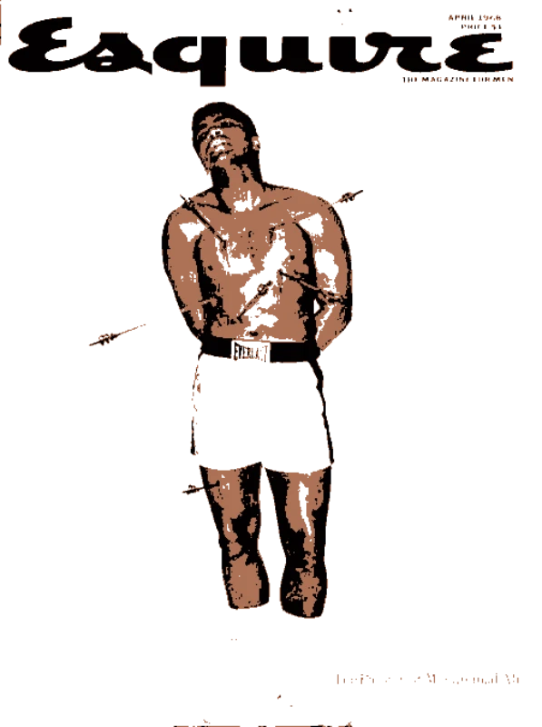 The Fighter's Resilience