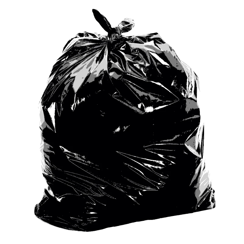 Trash Talk: The Art of Waste