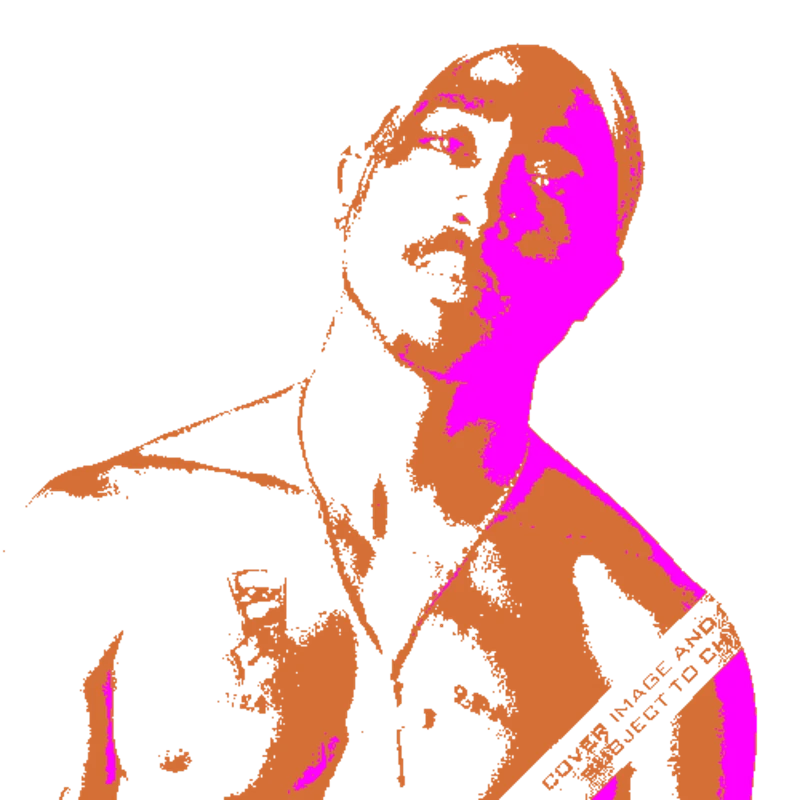 Celebrities & Icons stencil example