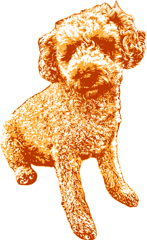 Animals stencil example