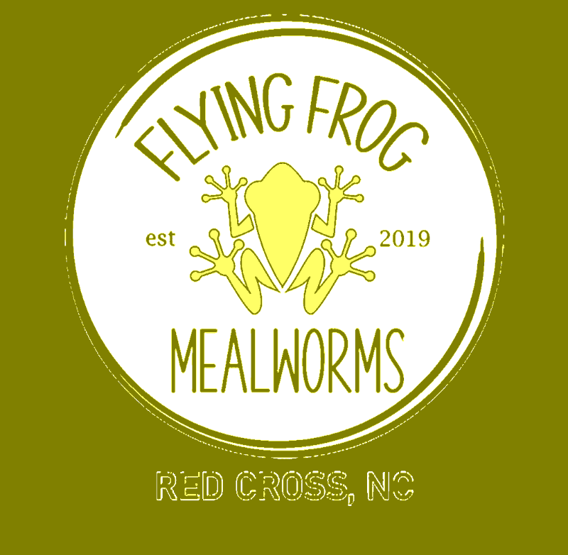 Untitled Project - christmas-stencil-maker stencil