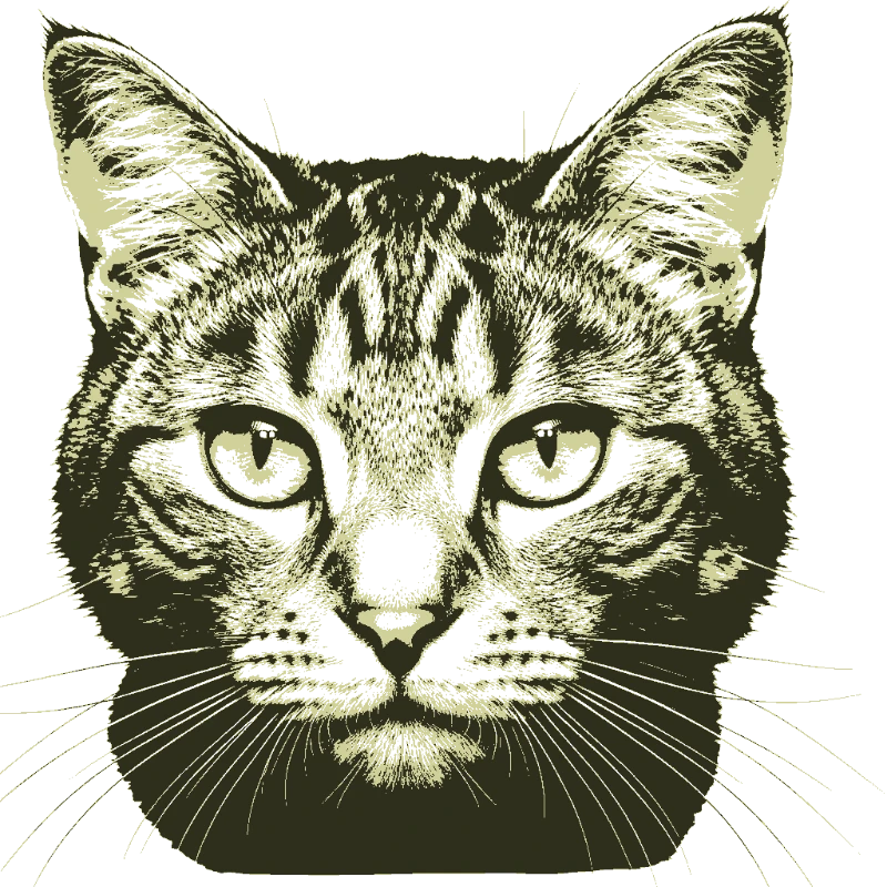 Animals stencil example