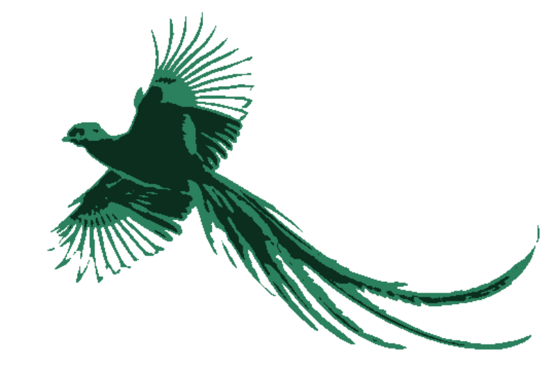 Resplendent Quetzal - realistic-stencil-maker stencil