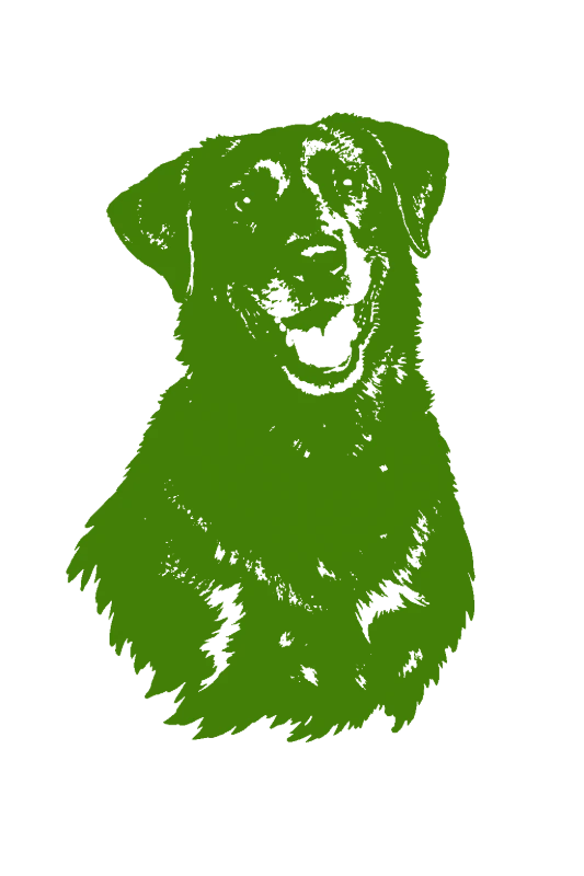 Black Labrador Portrait - stencil-maker-from-photo stencil