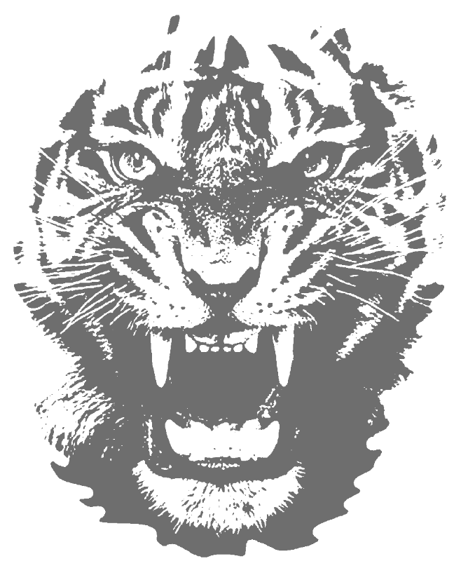 Roaring Tiger Portrait - stencil-maker-for-airbrush stencil