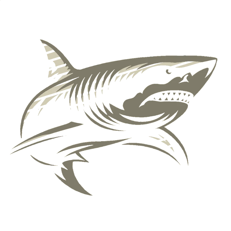 Stylized Shark Illustration