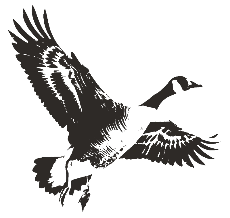 Flying Canada Goose - stencil-maker-online stencil