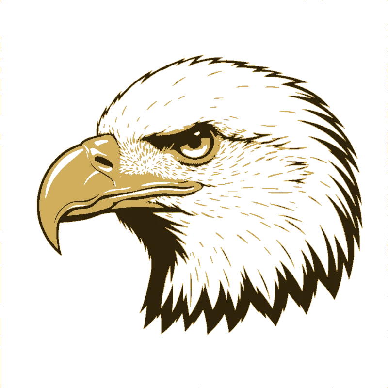 Eagle Head Portrait