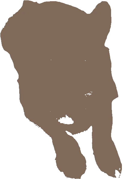cat-stencil-maker stencil result