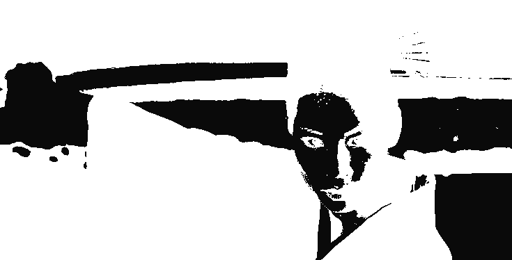 Samurai Warrior Negative