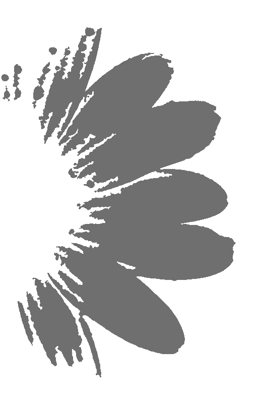 Black and White Flower - wall-art-stencil-maker stencil