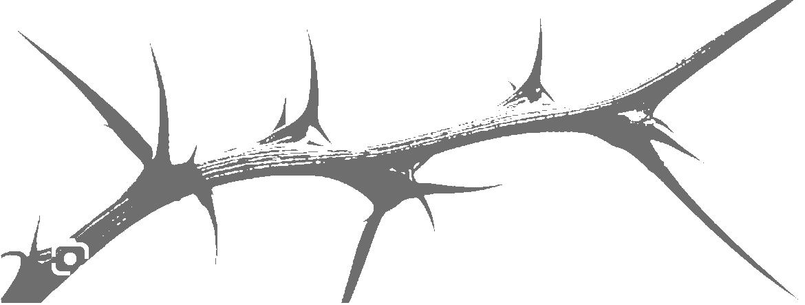 Thorny Branch Silhouette - silhouette-stencil-maker stencil
