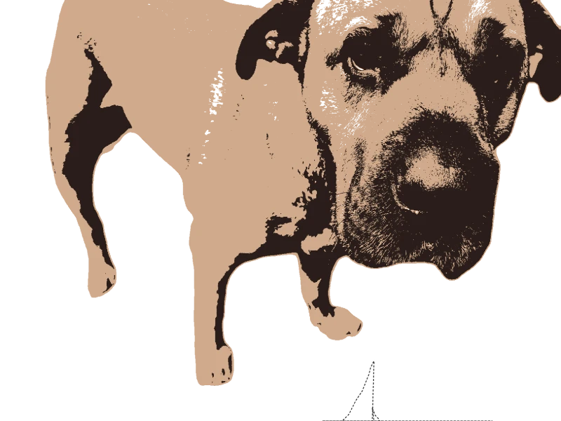 Loyal Dog Portrait - dog-stencil-maker stencil
