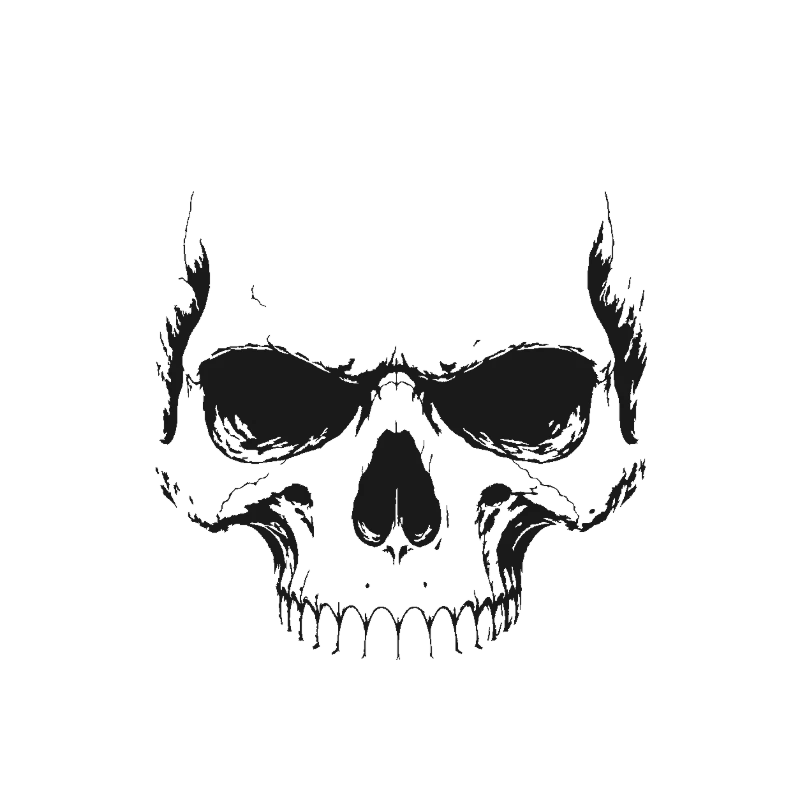 Realistic Skull Illustration