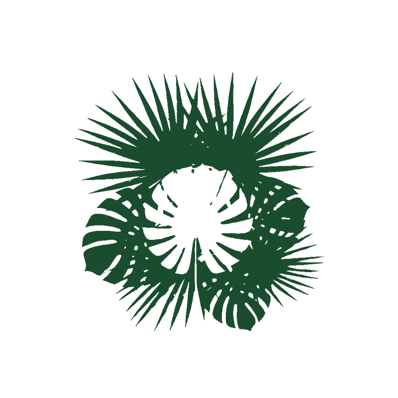 Tropical Palm Leaves