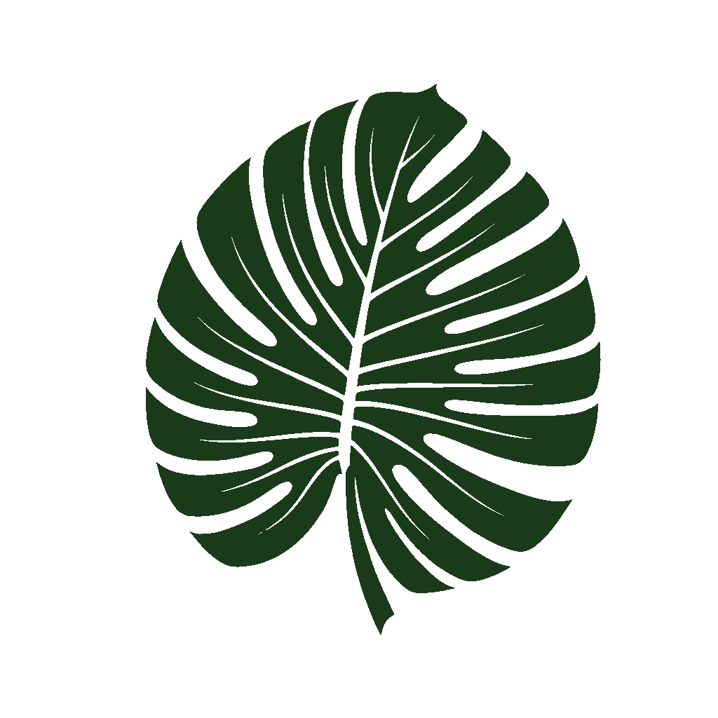Monstera Leaf Illustration