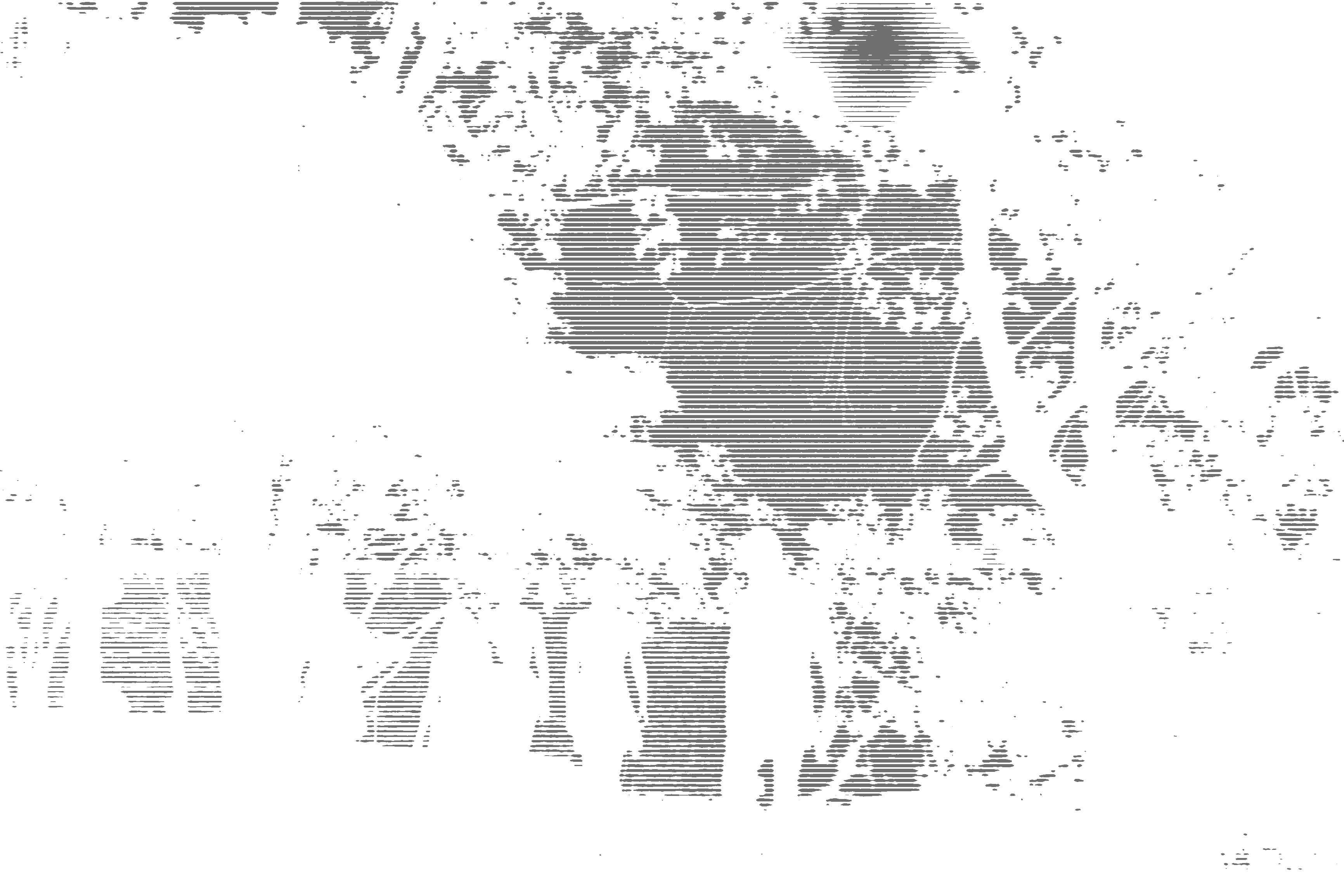 Forest Silhouette Scene