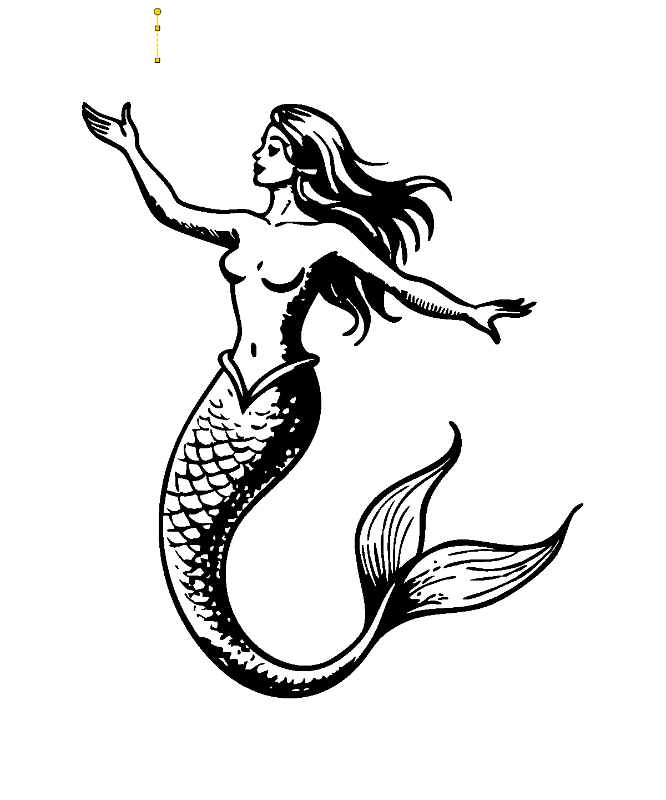 29