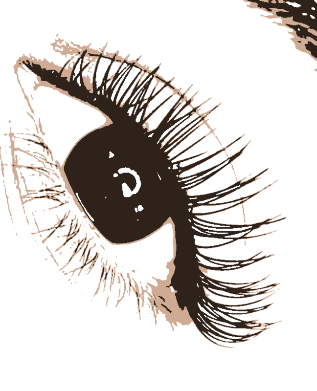 Eye with Eyelash Extensions