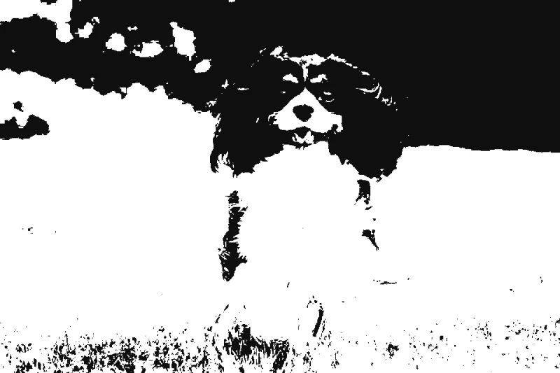 Cavalier King Charles Running - dog-stencil-maker stencil