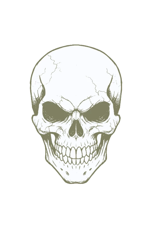 Detailed Skull Illustration
