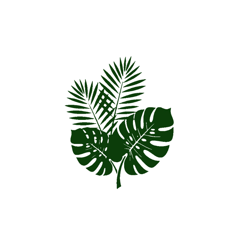 Tropical Leaf Illustration