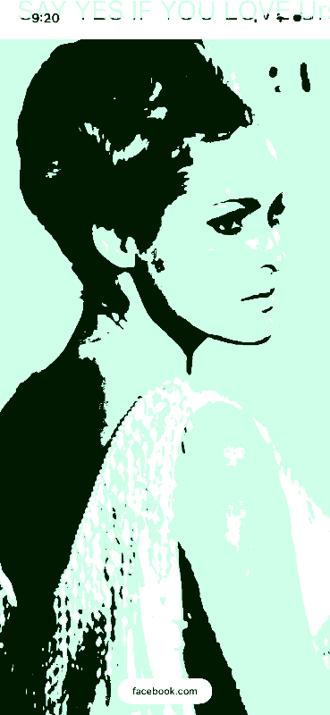 Ursula Andress Portrait - celebrity-stencil-maker stencil