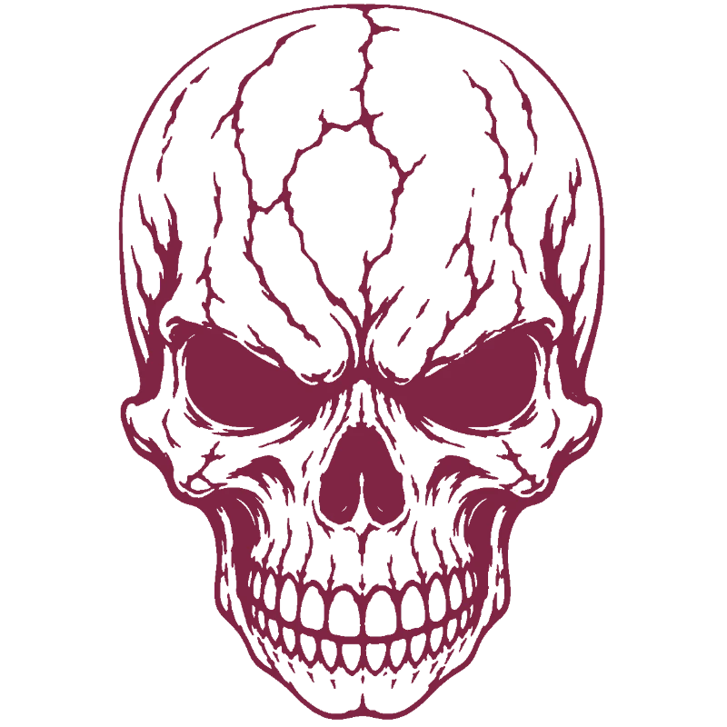 Cracked Skull