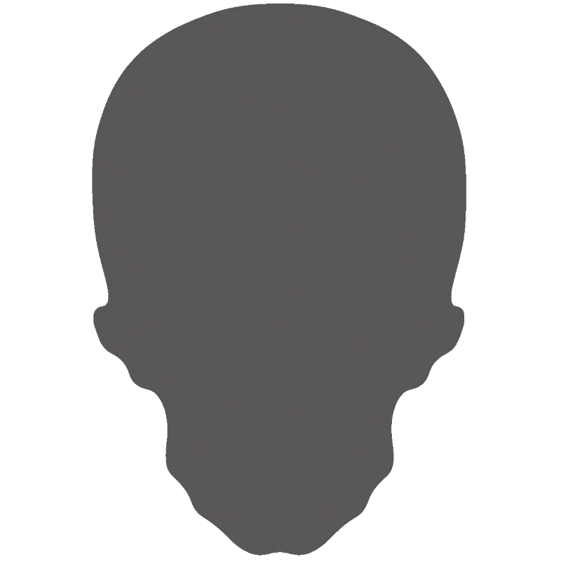Cracked Skull