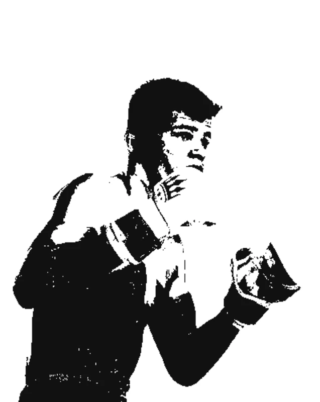 Fighter in Stance - ufc-stencil-maker stencil